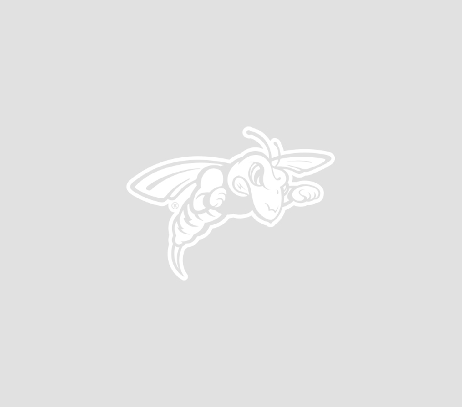     Website-display